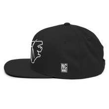 North Carolina Wind Snapback Hat