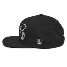 Illinois Wind Snapback Hat