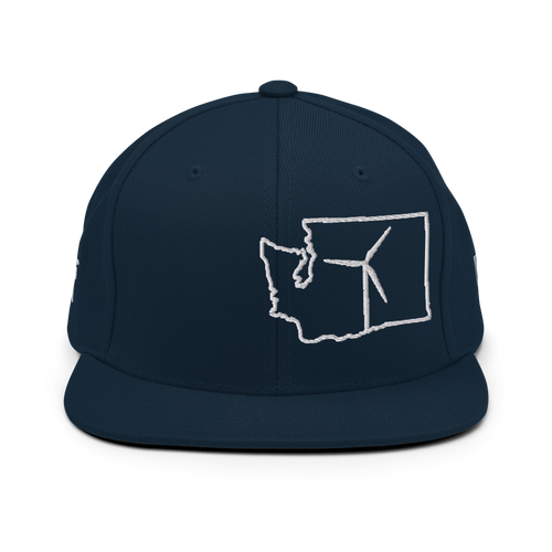 Washington Wind Snapback Hat