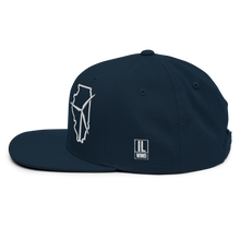 Illinois Wind Snapback Hat