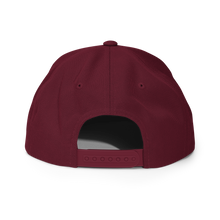 Alaska Wind Snapback Hat