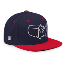 USA Wind Snapback Hat