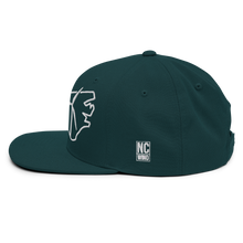 North Carolina Wind Snapback Hat