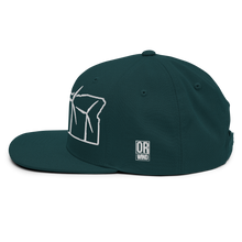 Oregon Wind Snapback Hat